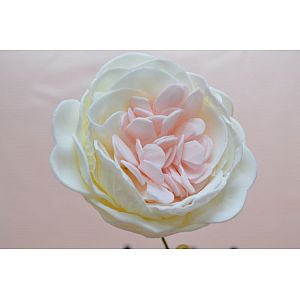 Ivory and Pink blush: 1 Flower