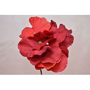 Red hydrangea: 1 Flower