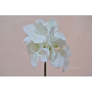 Silk white hydrangea : 1 Flower