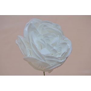 White peony: 1 Flower