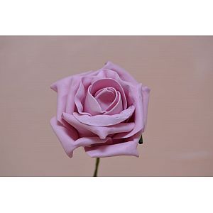 Dusky Pink: 1 Flower