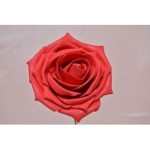 Red: 1 Flower