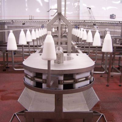 Noble Foods Cone Line
